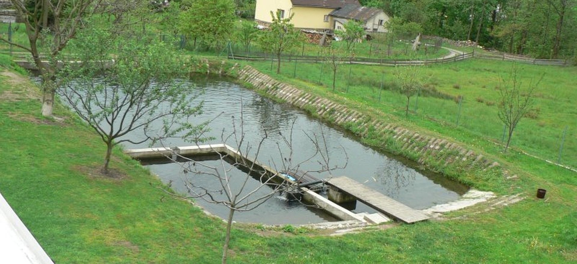 Rybník
